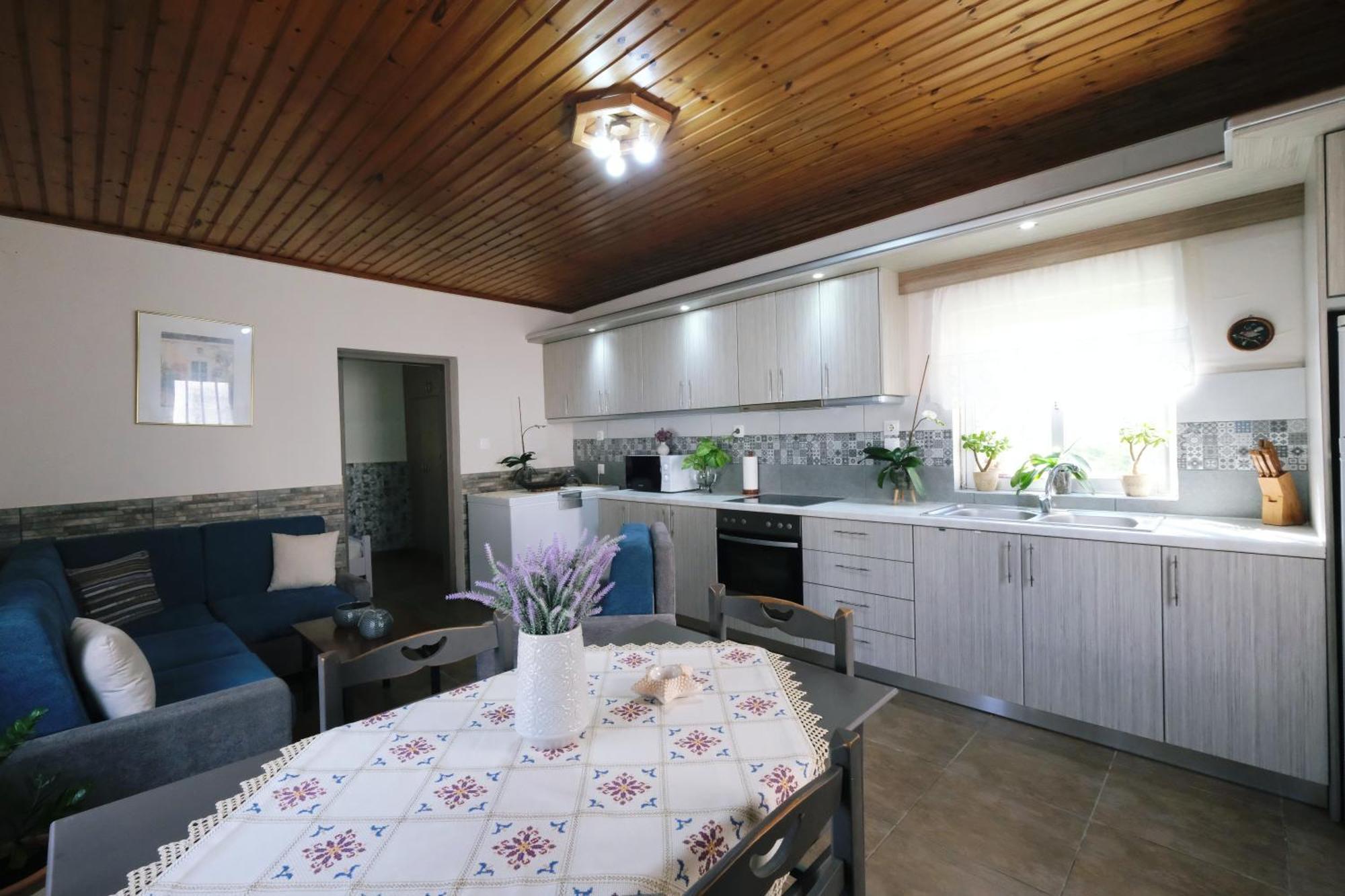 Repanidi Apartment D / Ρεπανίδι Διαμέρισμα Δ Repanidhion Exterior photo