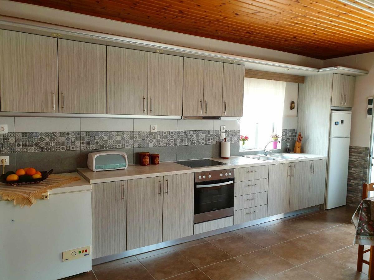 Repanidi Apartment D / Ρεπανίδι Διαμέρισμα Δ Repanidhion Exterior photo